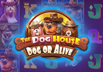 NetEnt - игровой автомат онлайн от Various с RTP 95.82%